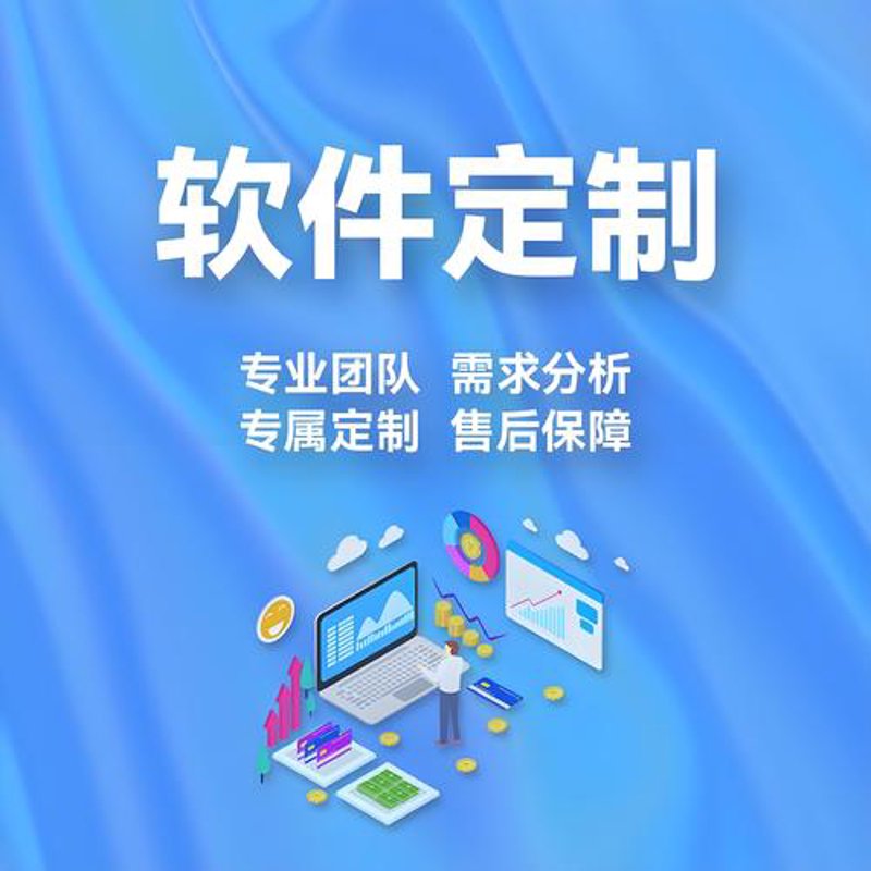 软件定制开发:企业数字化转型的得力助手