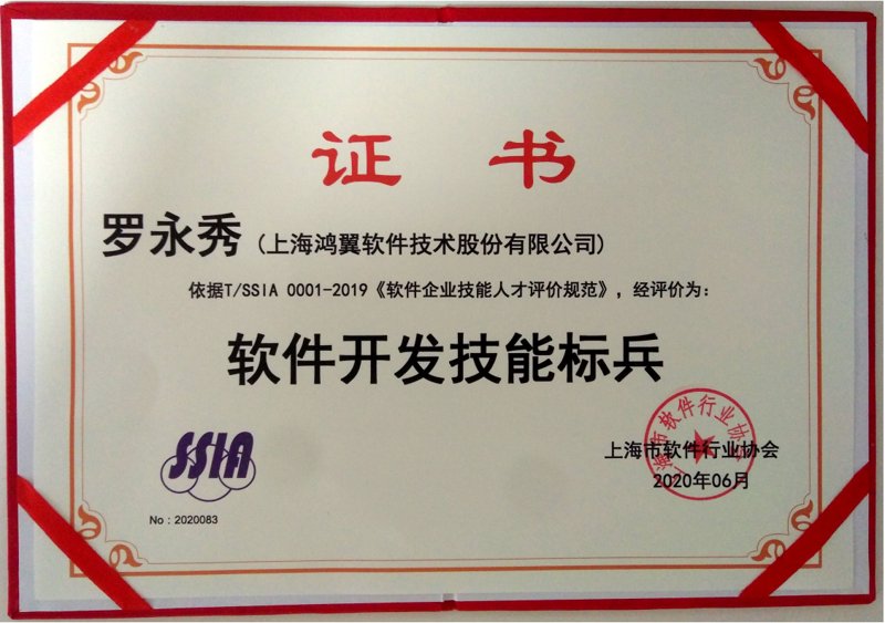 软件定制开发：企业数字化升级的得力助手